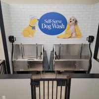 Pet Supermarket ico
