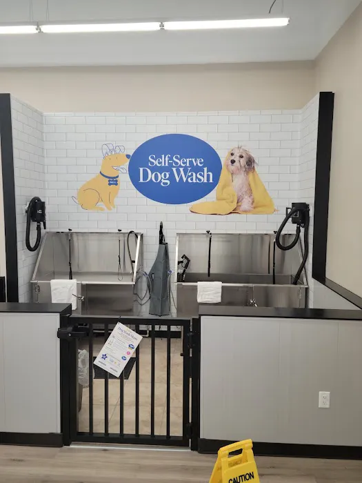 Pet Supermarket Picture 4