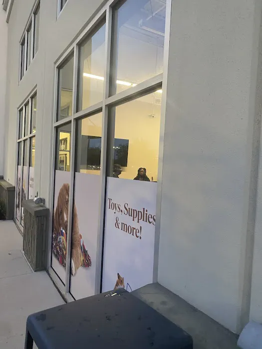 Pet Supermarket Picture 9