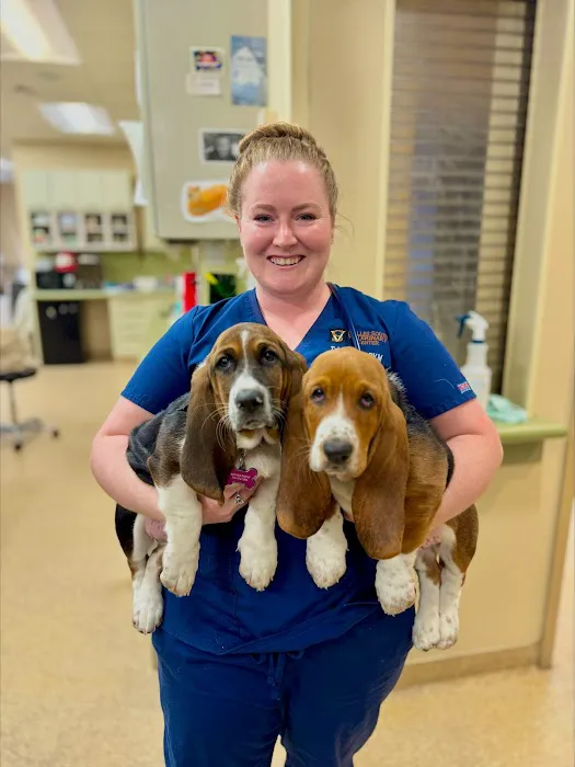 Dulles South Veterinary Center Picture 1