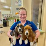 Dulles South Veterinary Center