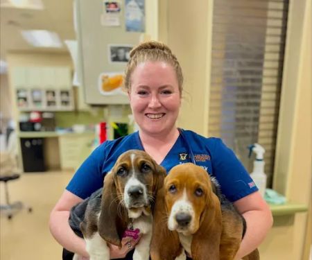 Dulles South Veterinary Center