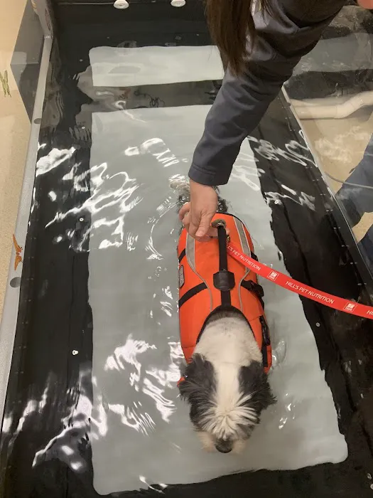 Dulles South Veterinary Center Picture 4