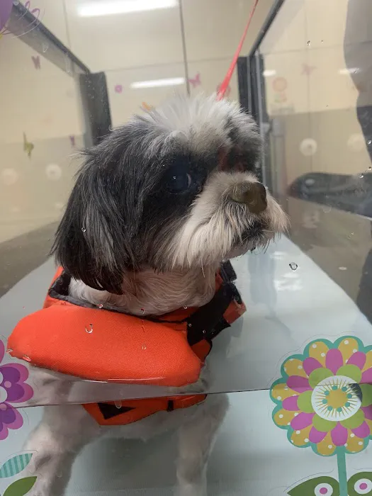 Dulles South Veterinary Center Picture 6