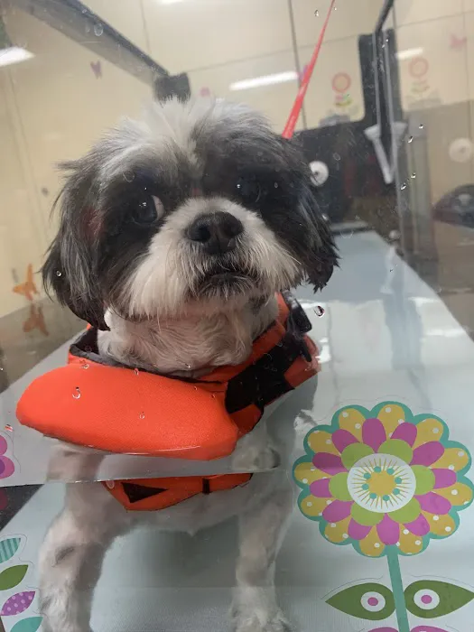 Dulles South Veterinary Center Picture 7