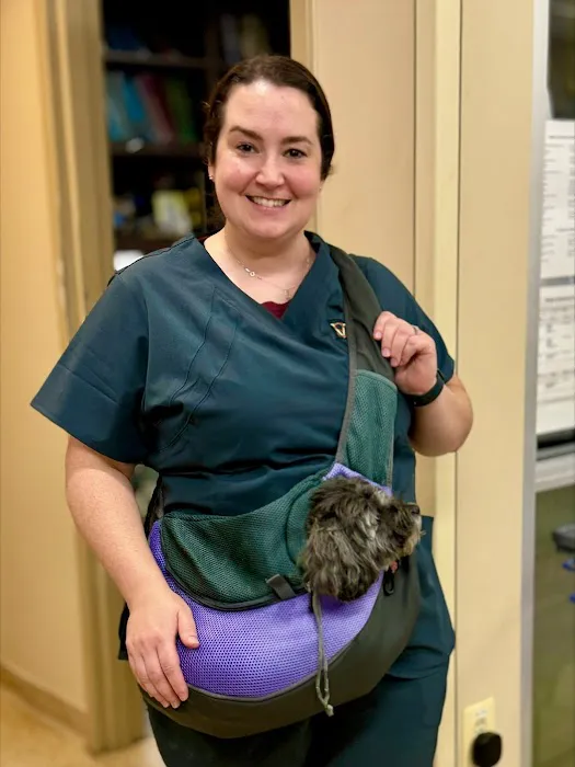 Dulles South Veterinary Center Picture 9