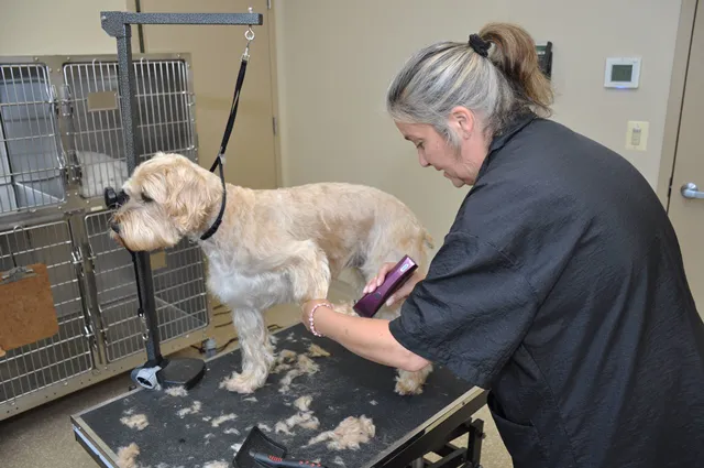 Aldie Veterinary Hospital Picture 7