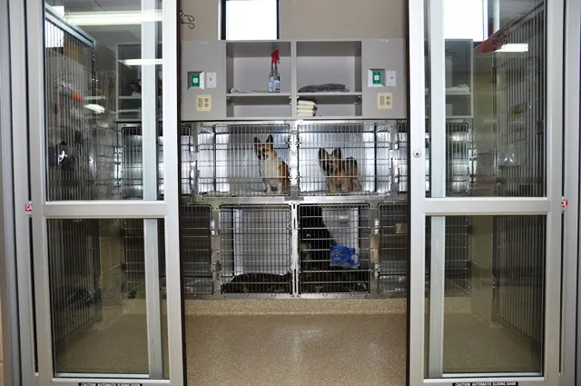 Aldie Veterinary Hospital Picture 4