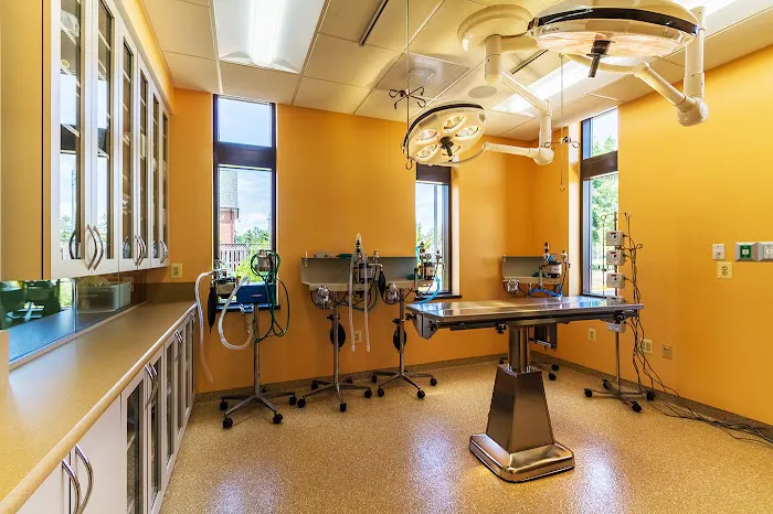 Aldie Veterinary Hospital Picture 5