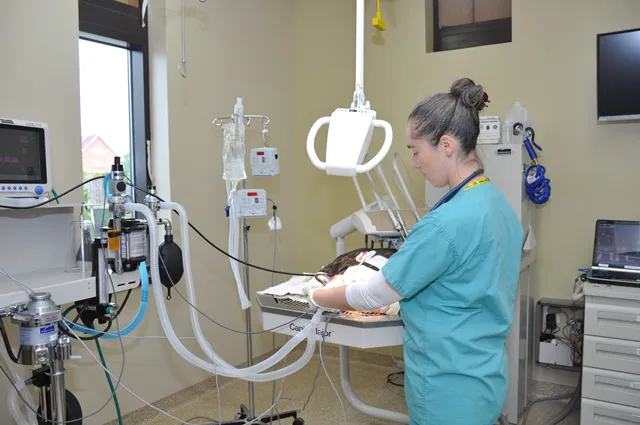 Aldie Veterinary Hospital Picture 3