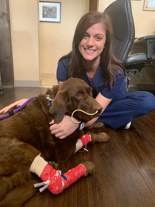 Aldie Veterinary Hospital Picture 10