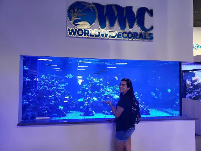 World Wide Corals Picture 6