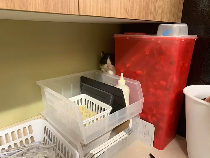 Harmony Hill Animal Hospital Picture 1