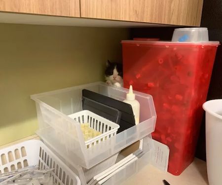 Harmony Hill Animal Hospital