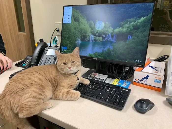 Harmony Hill Animal Hospital Picture 7