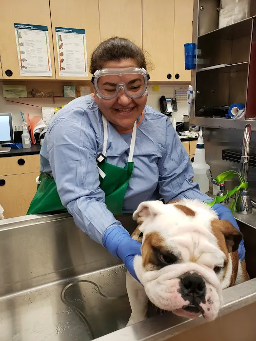 Banfield Pet Hospital Picture 2