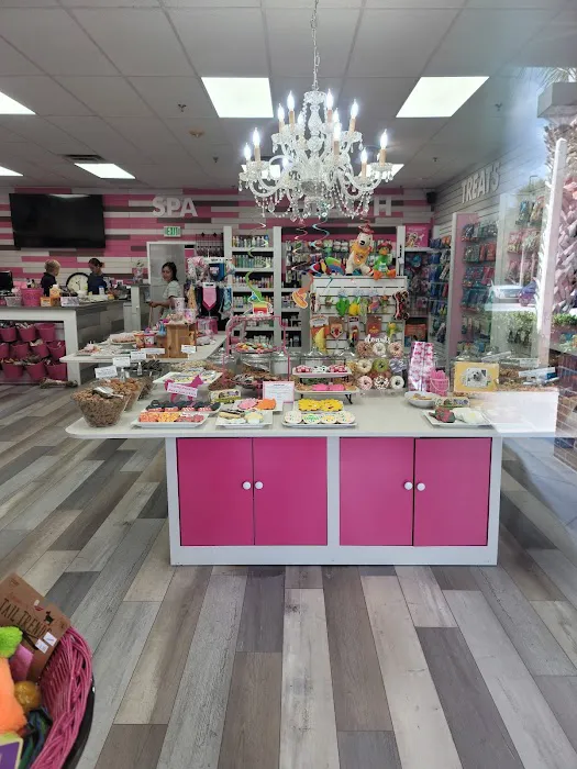 Woof Gang Bakery & Grooming Windermere Picture 5