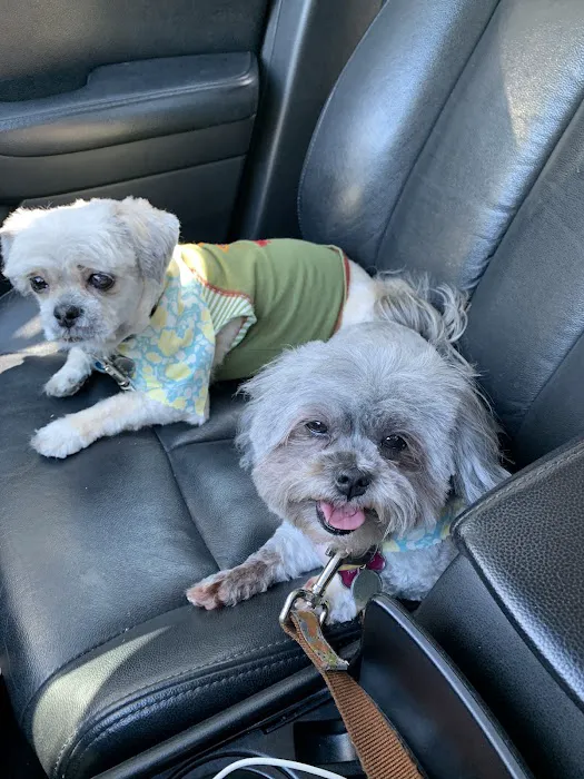 Woof Gang Bakery & Grooming Windermere Picture 2