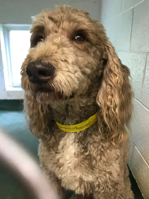 Stream Valley Veterinary Hospital Picture 10
