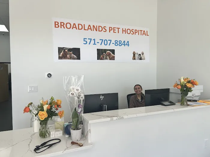 Broadlands Animal Hospital Picture 7