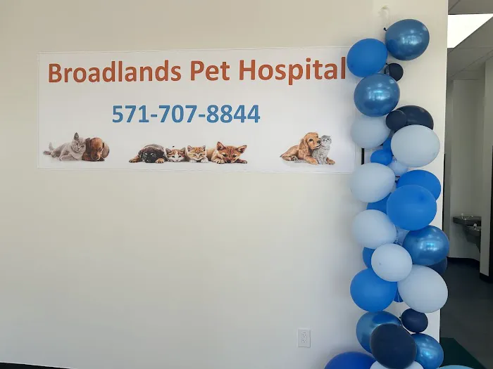 Broadlands Animal Hospital Picture 5