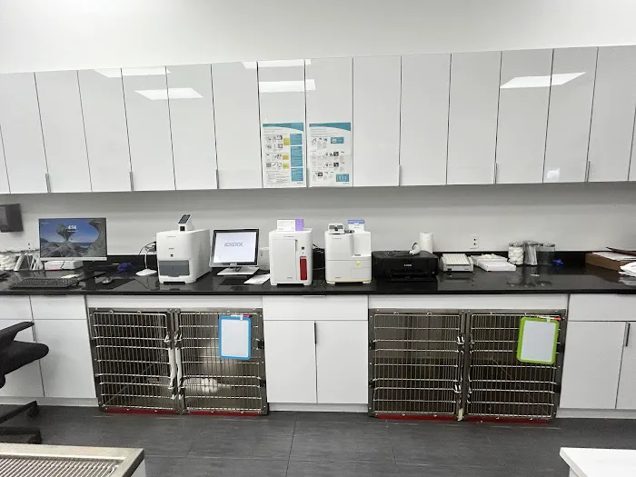 Broadlands Animal Hospital Picture 2