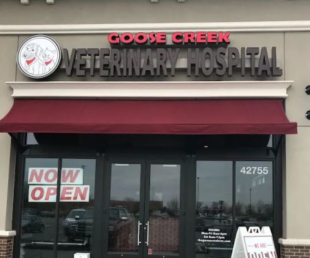 Goose Creek Veterinary Hospital