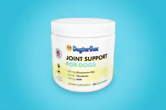 Dogtor Box Picture 10