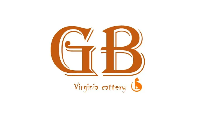 GB cattery Picture 10