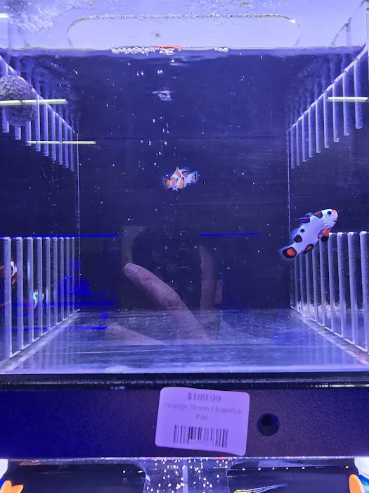 Reefez Aquarium Picture 2