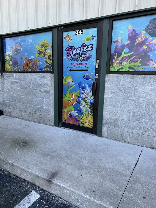 Reefez Aquarium Picture 10