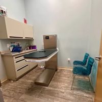 Lansdowne Animal Hospital ico