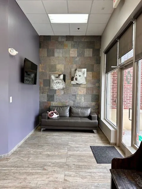 Lansdowne Animal Hospital Picture 2