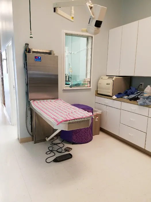 Lansdowne Animal Hospital Picture 5