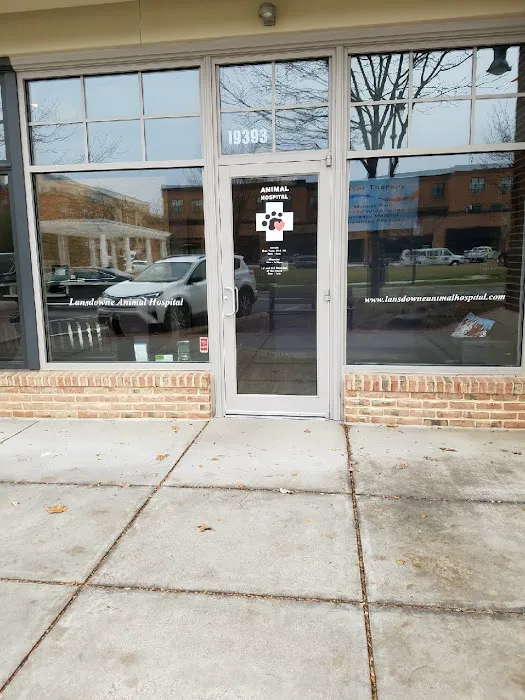 Lansdowne Animal Hospital Picture 6