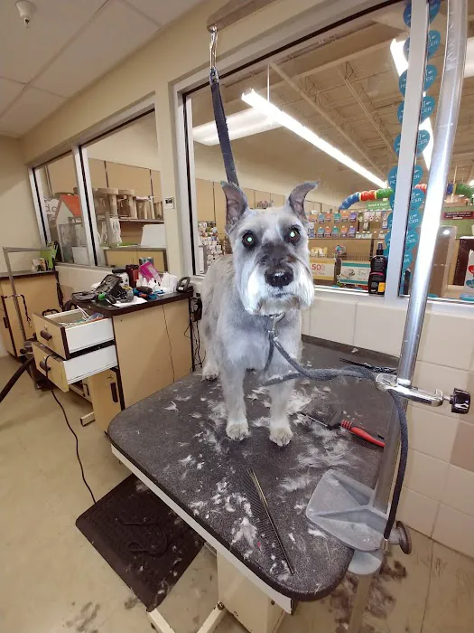 Petco Picture 2