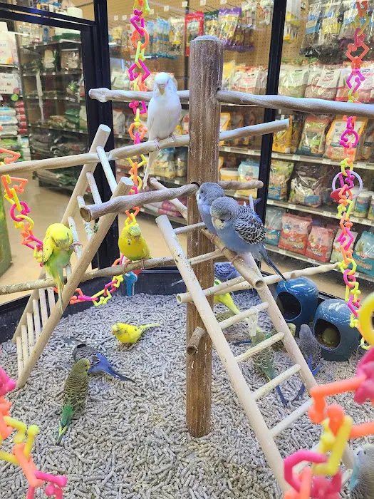 Petco Picture 7