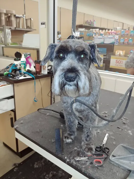 Petco Picture 4