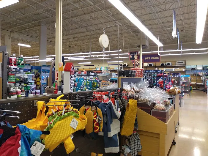 Petco Picture 3
