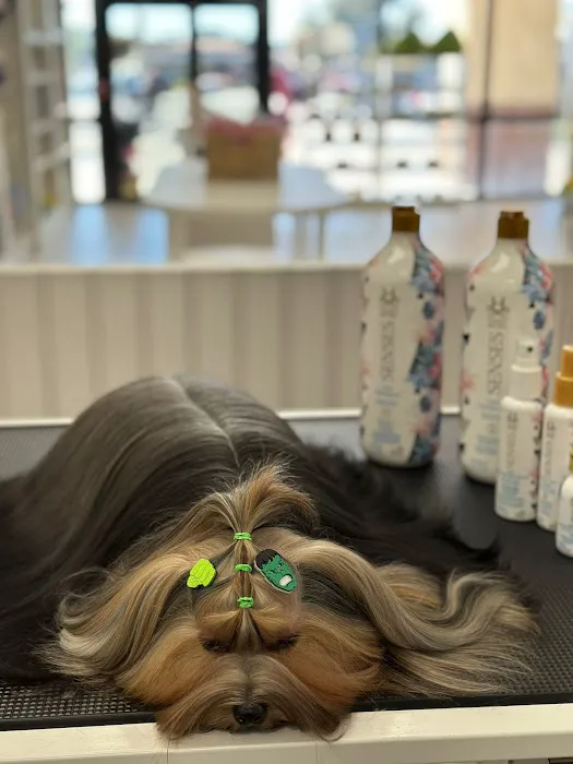 The Pawtastic Pet Shop Picture 6