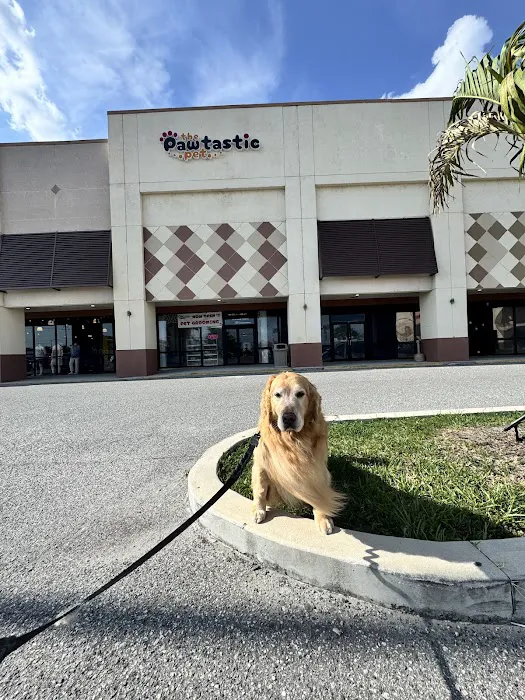 The Pawtastic Pet Shop Picture 4