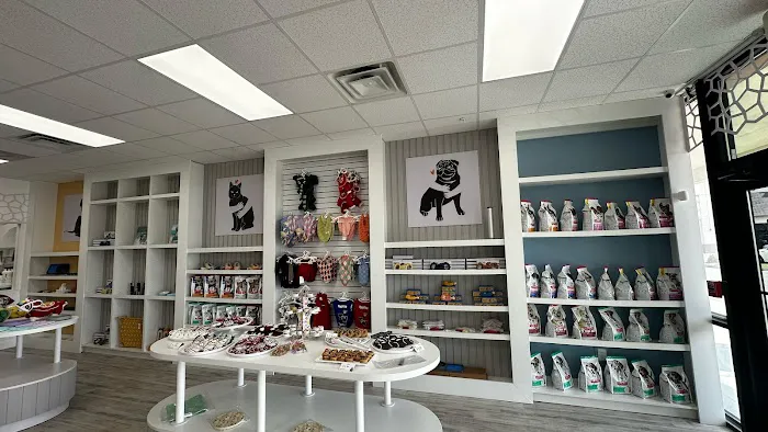 The Pawtastic Pet Shop Picture 7