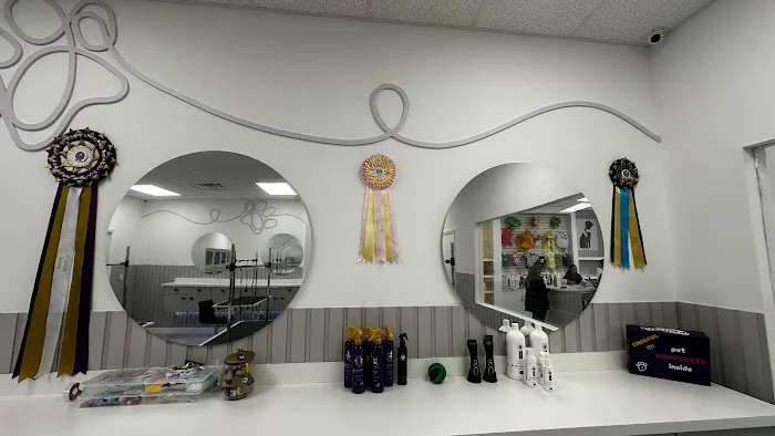 The Pawtastic Pet Shop Picture 10