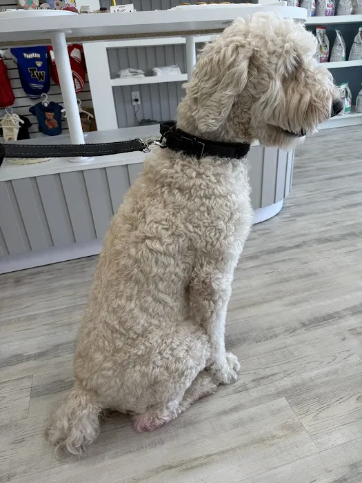 The Pawtastic Pet Shop Picture 8