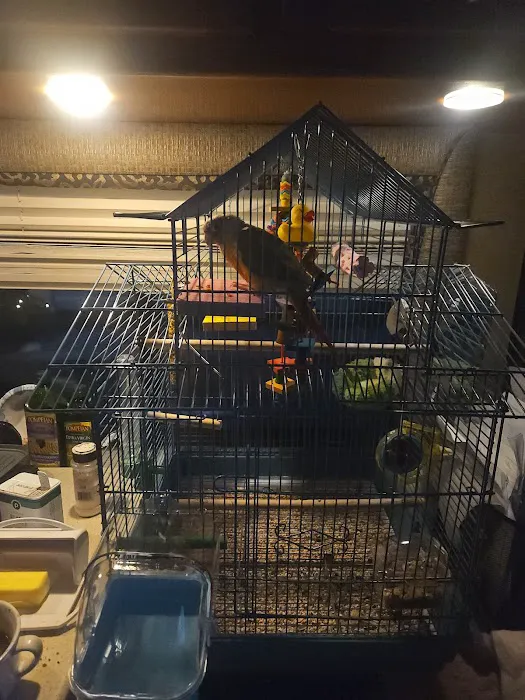 Pet Supermarket Picture 1