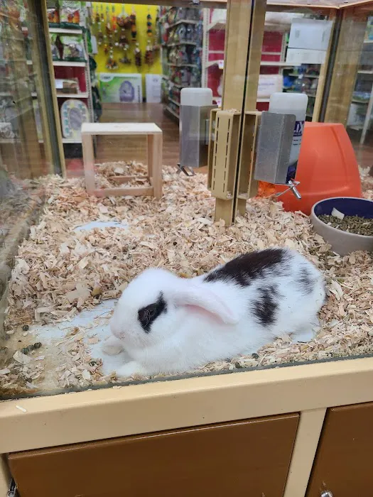 Pet Supermarket Picture 8