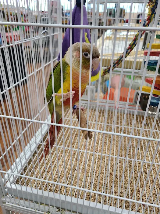 Pet Supermarket Picture 7