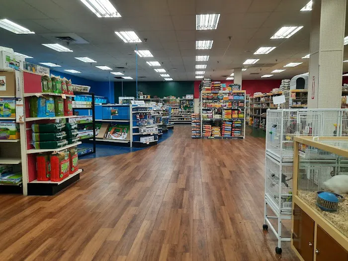 Pet Supermarket Picture 4