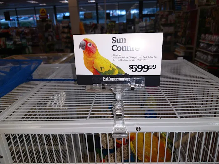 Pet Supermarket Picture 9