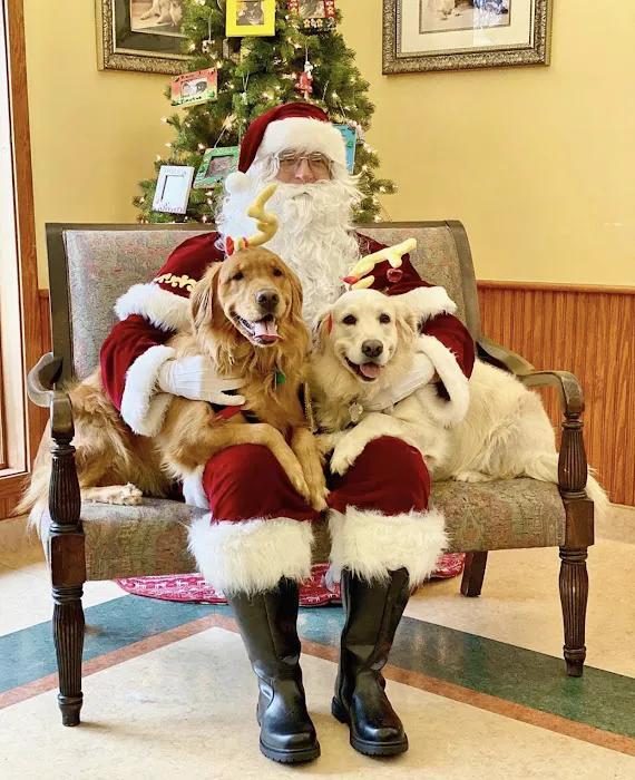 Companion Animal Clinic Picture 4
